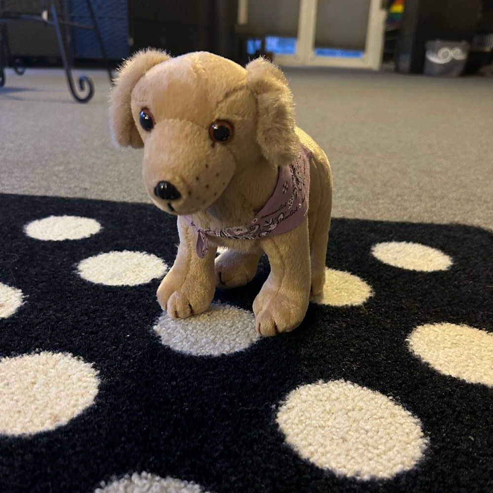 American girl dog Sandy - Picture 1 of 2